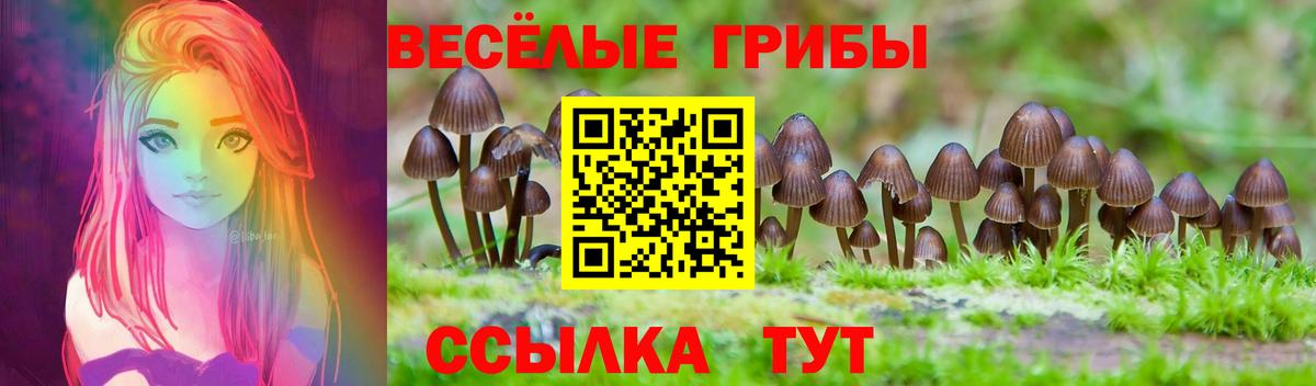 Псилоцибиновые грибы Cubensis  Вход с VPN  Новочебоксарск  Псилоцибиновые грибы Psilocybine cubensis 